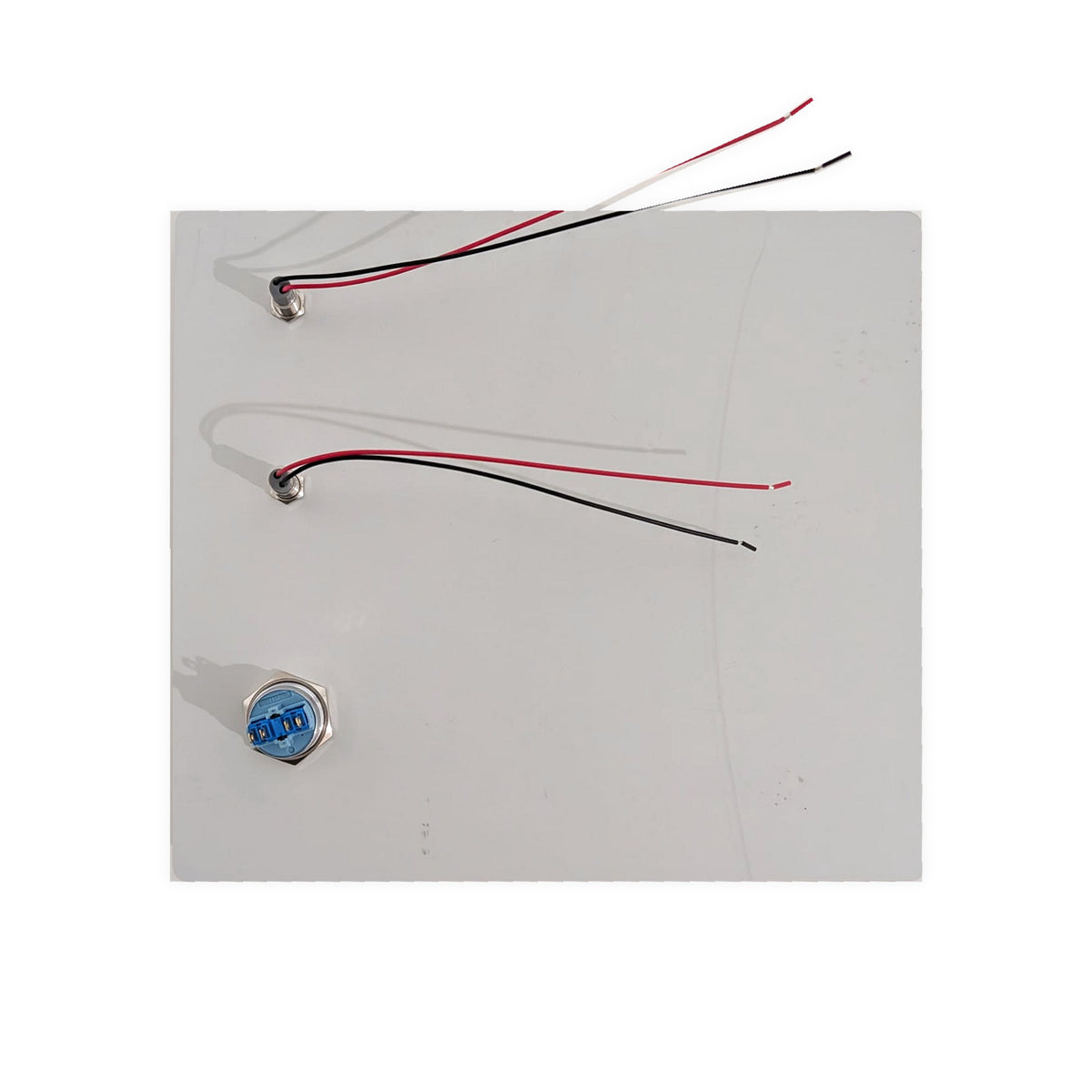 Custom DDA Toilet Door Control Kit - Buttons and LEDs Fitted